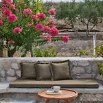 Iliana Olive Branch * Adamantas (Milos)