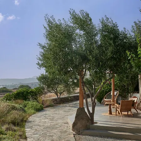Appartamento Iliana Olive Branch