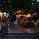 Iliana Olive Branch آداماس