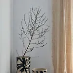 Iliana Olive Branch Appartement *