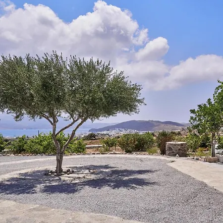 Iliana Olive Branch דירה