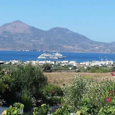 Iliana Olive Branch Adamantas (Milos)
