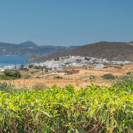 Apartment Iliana Olive Branch Adamantas (Milos)