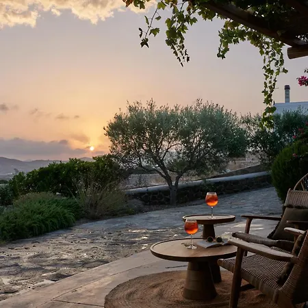 Iliana Olive Branch * Adamantas (Milos)