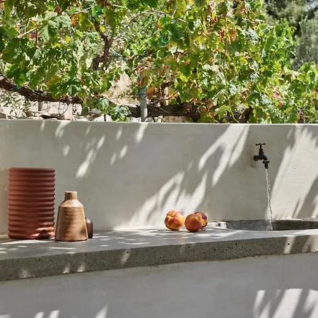 Iliana Olive Branch * אדאמאס