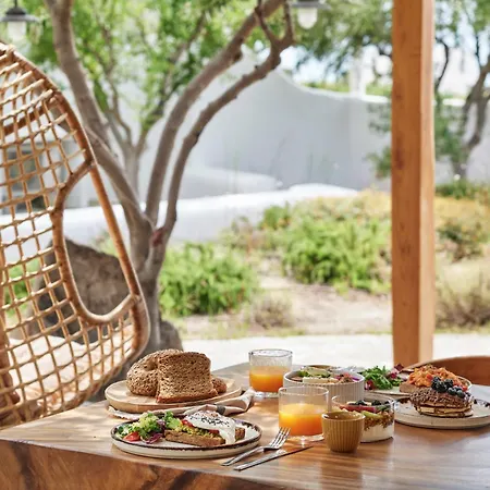 Iliana Olive Branch آداماس