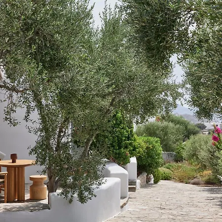 Iliana Olive Branch Apartment Adamantas (Milos)