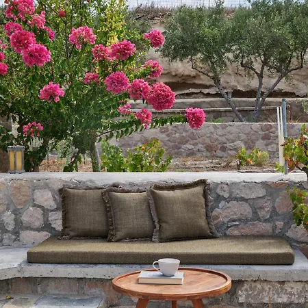 Iliana Olive Branch * Adamantas (Milos)
