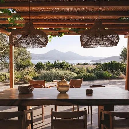 Iliana Olive Branch Adamantas (Milos)