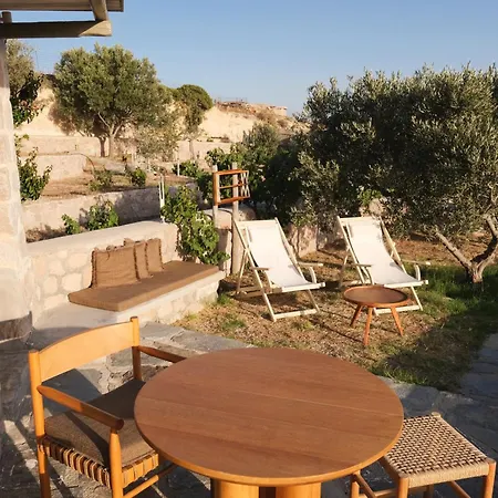 Iliana Olive Branch * Adamantas (Milos)