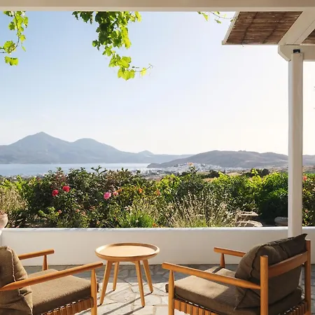 Iliana Olive Branch Adamantas (Milos)