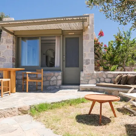 Iliana Olive Branch Adamantas (Milos)