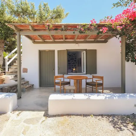 Iliana Olive Branch * Adamantas (Milos)