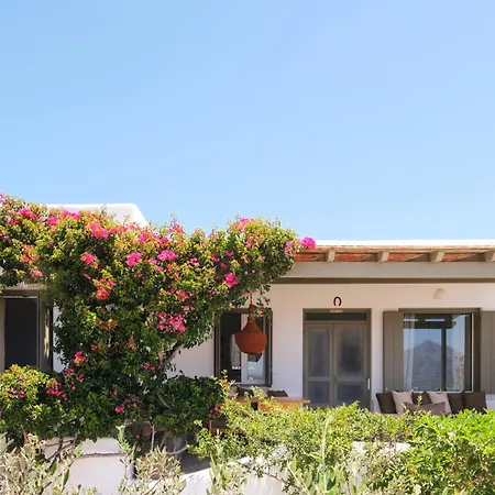 Iliana Olive Branch Adamantas (Milos)