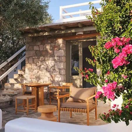 Iliana Olive Branch * Adamantas (Milos)