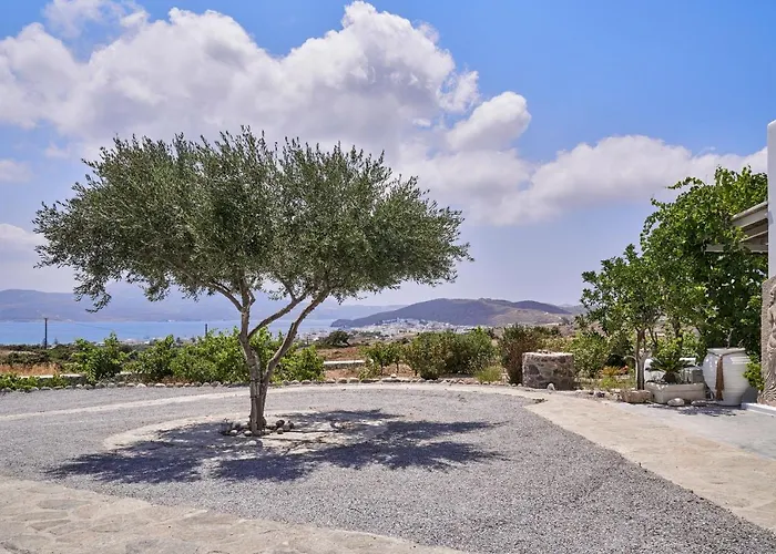 Iliana Olive Branch 아파트