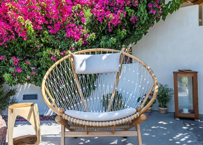 Iliana Olive Branch Appartement