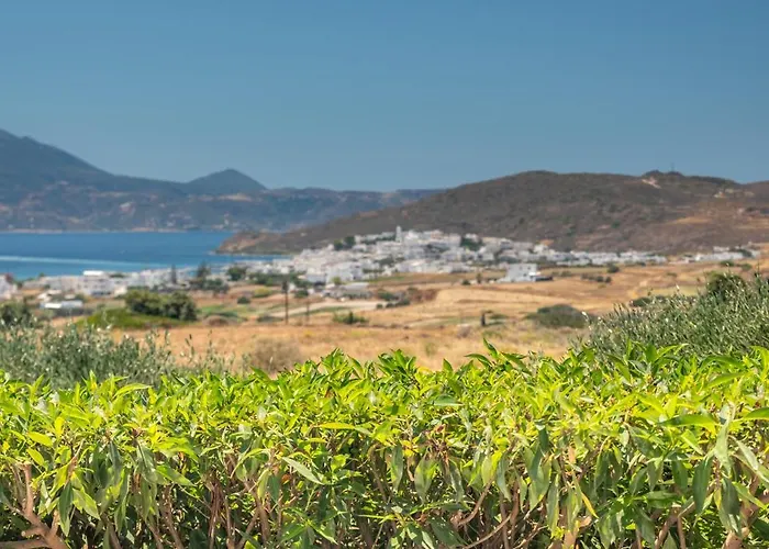 아파트 Iliana Olive Branch 아다마스