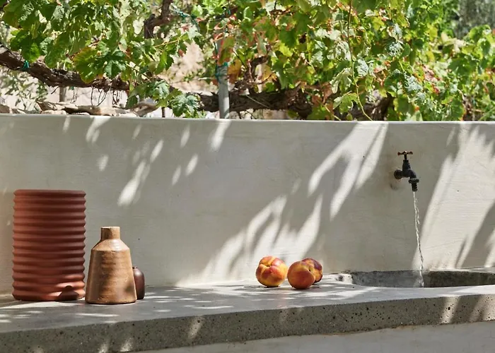 Iliana Olive Branch * 阿达玛斯