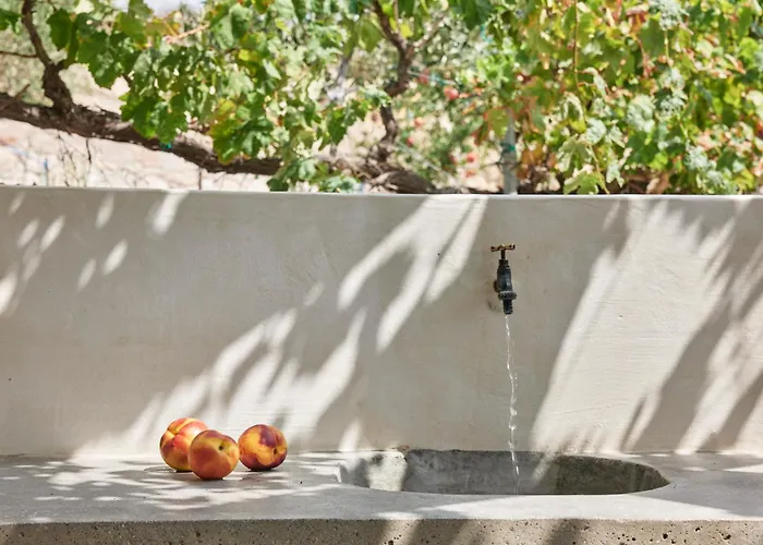 Iliana Olive Branch *