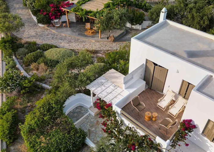 Iliana Olive Branch Appartement